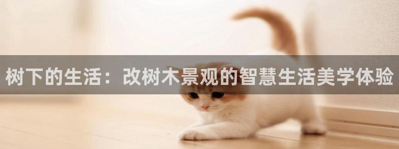 娱乐主播聊天顺序是什么