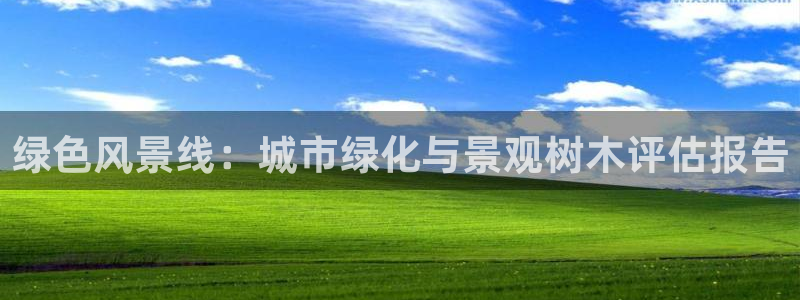 天顺娱乐上v96303