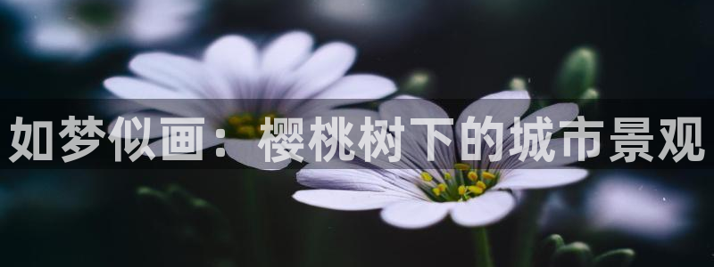 天顺娱乐负责人弓周到p29999