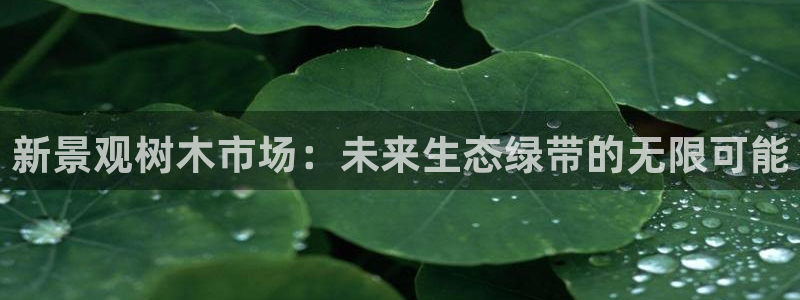 天顺娱乐石首22650
