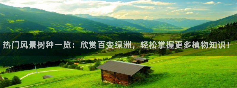 天顺娱乐主管方
