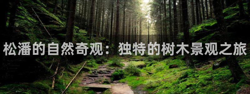 天顺娱乐炼943994