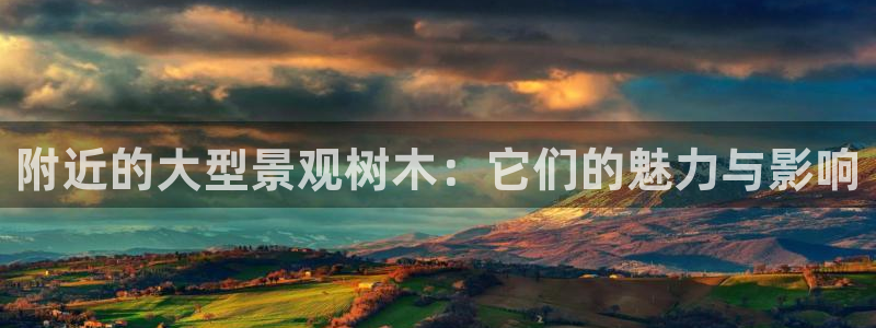 天顺娱乐的挂机包