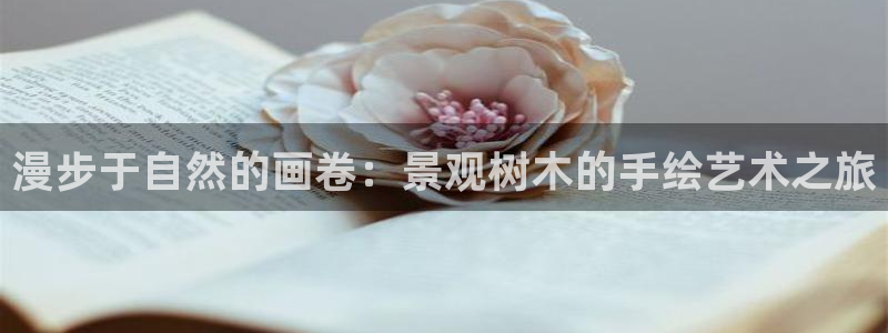 天顺娱乐露土70648