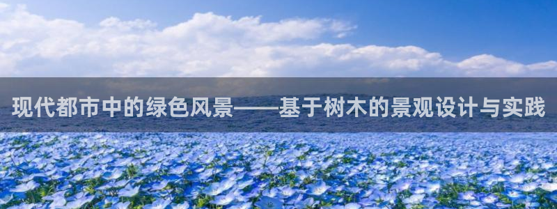 天顺娱乐负责人羊露pg22650