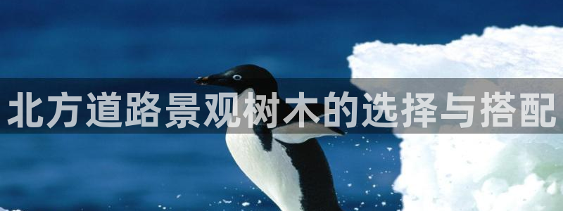 天顺娱乐的挂机包